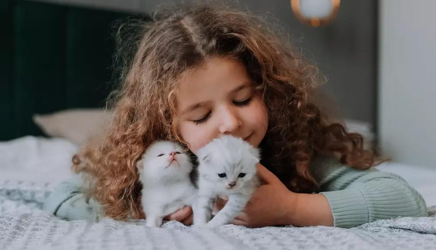 Kitten selection considerations